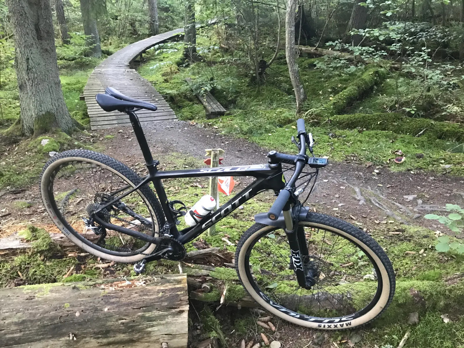 Scott Scale 920 in original MTB form, in a forest