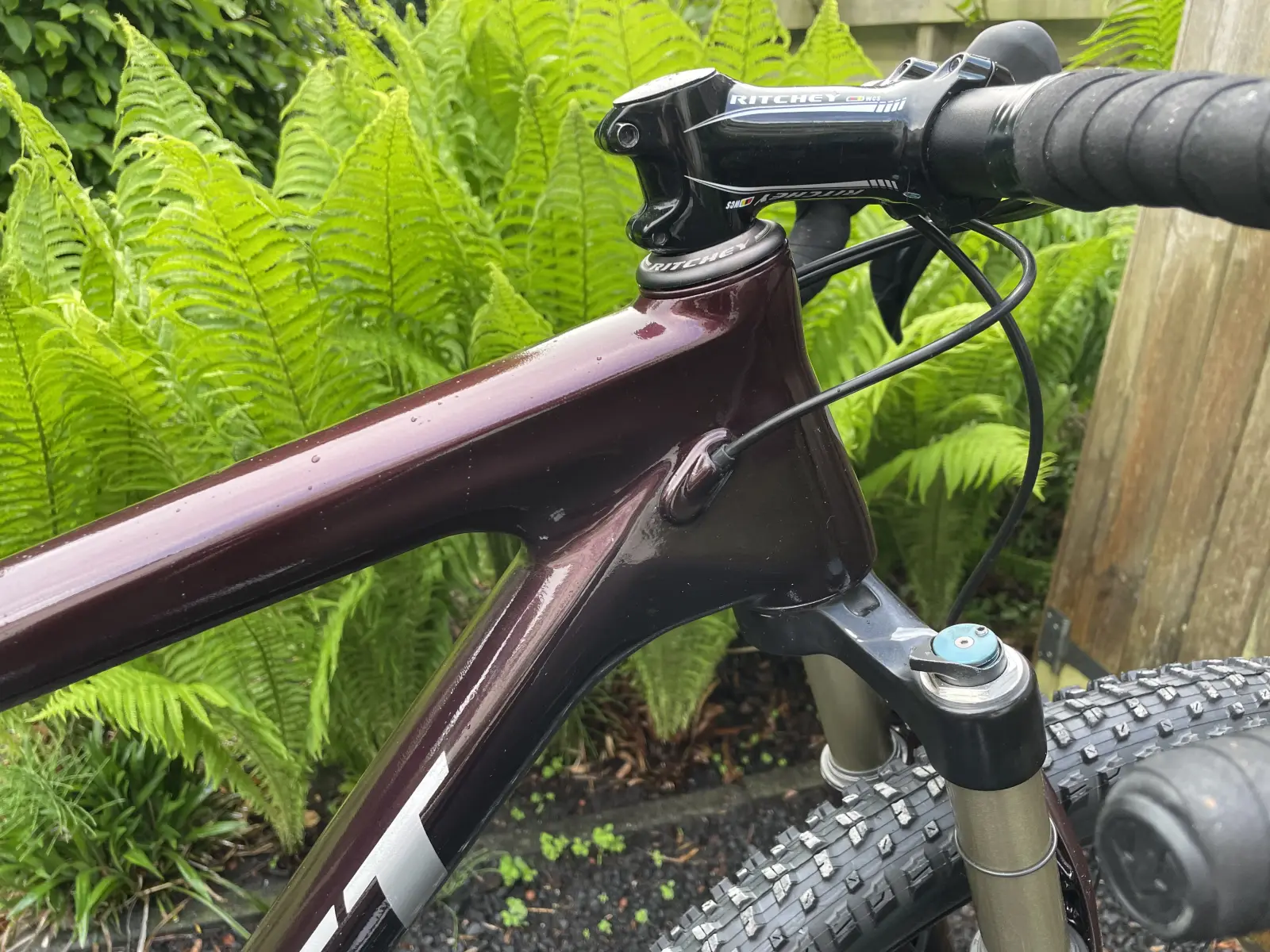 Head tube close-up from the right, with the SCOTT chrome decal