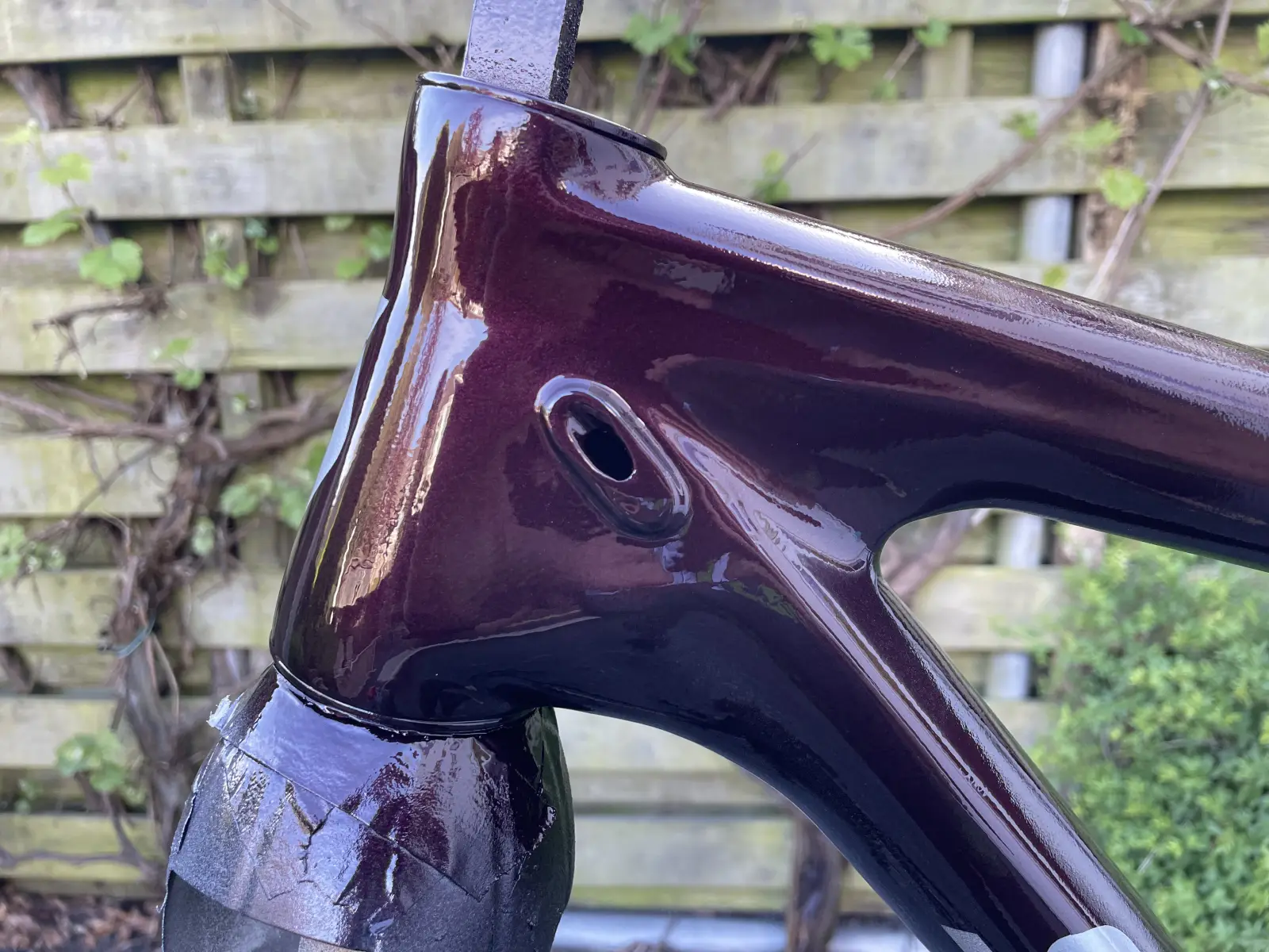 Clear-coated frame, side closeup near the head tube