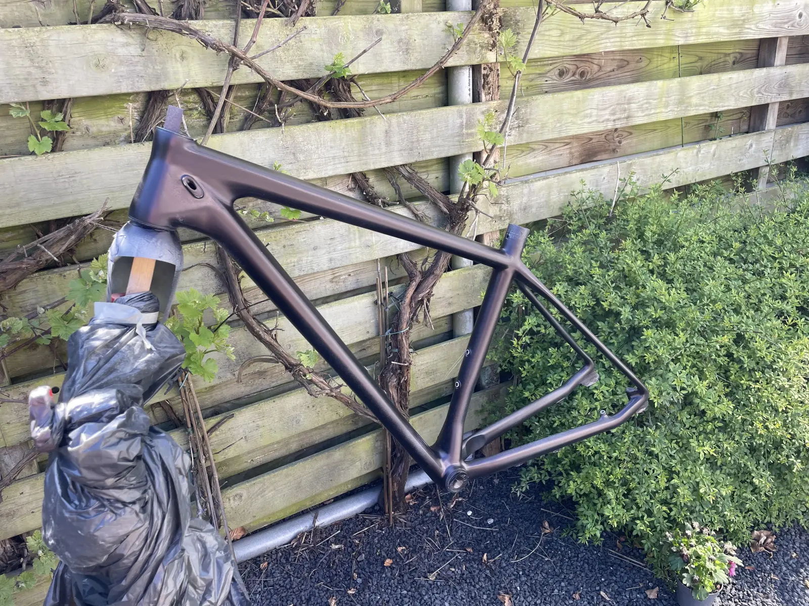 Frame after first aubergine coat