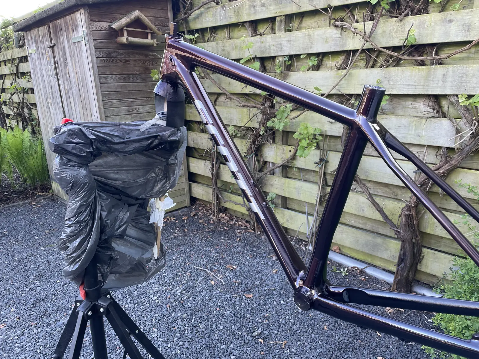 Frame after clear coat, rear angle