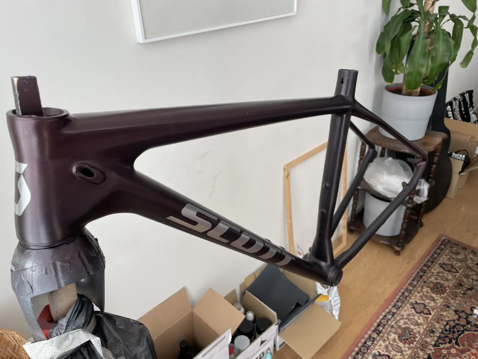 Frame with chrome decals, before clear coat, from the front