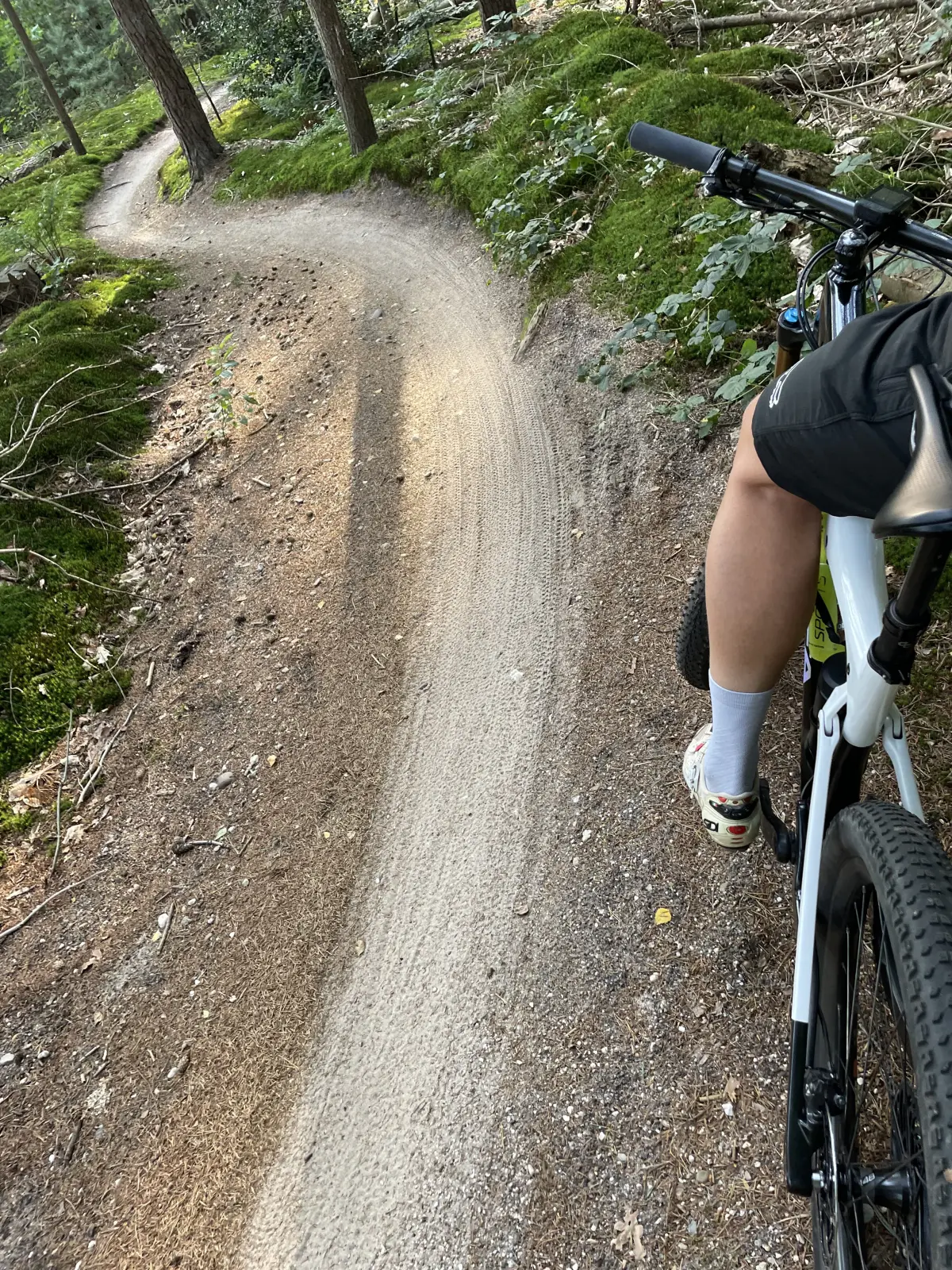 POV riding the resprayed black-and-white Orbea down a forest flow trail